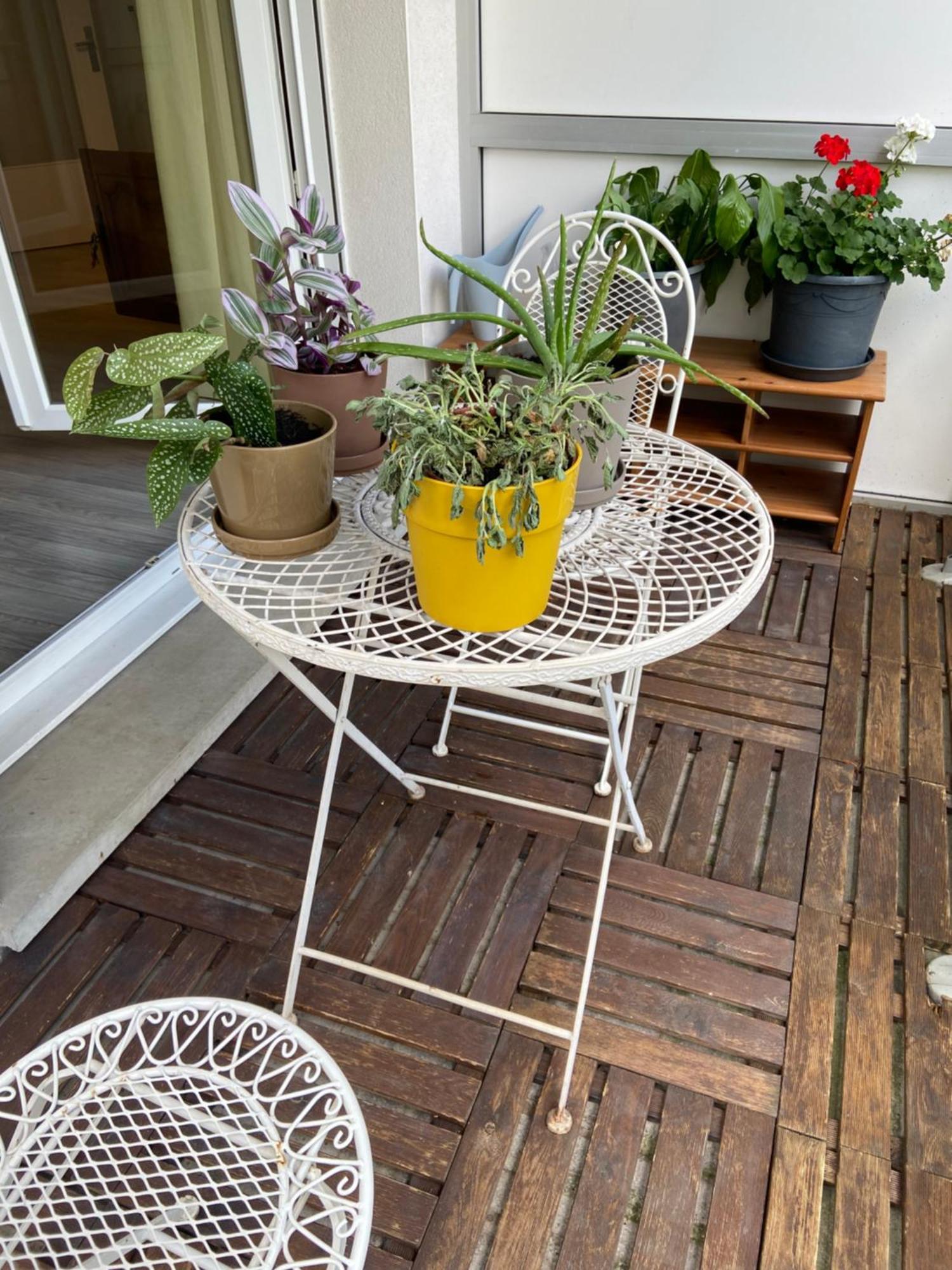 2 Piece Calme Cronenbourg 5min Centre * Strasbourg